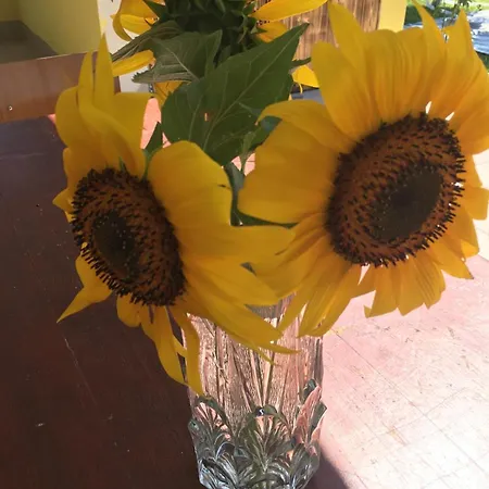 Casa Francesco Tatil Evi