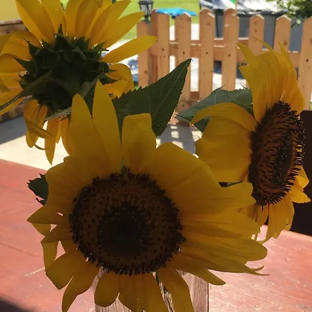 Tatil Evi Casa Francesco